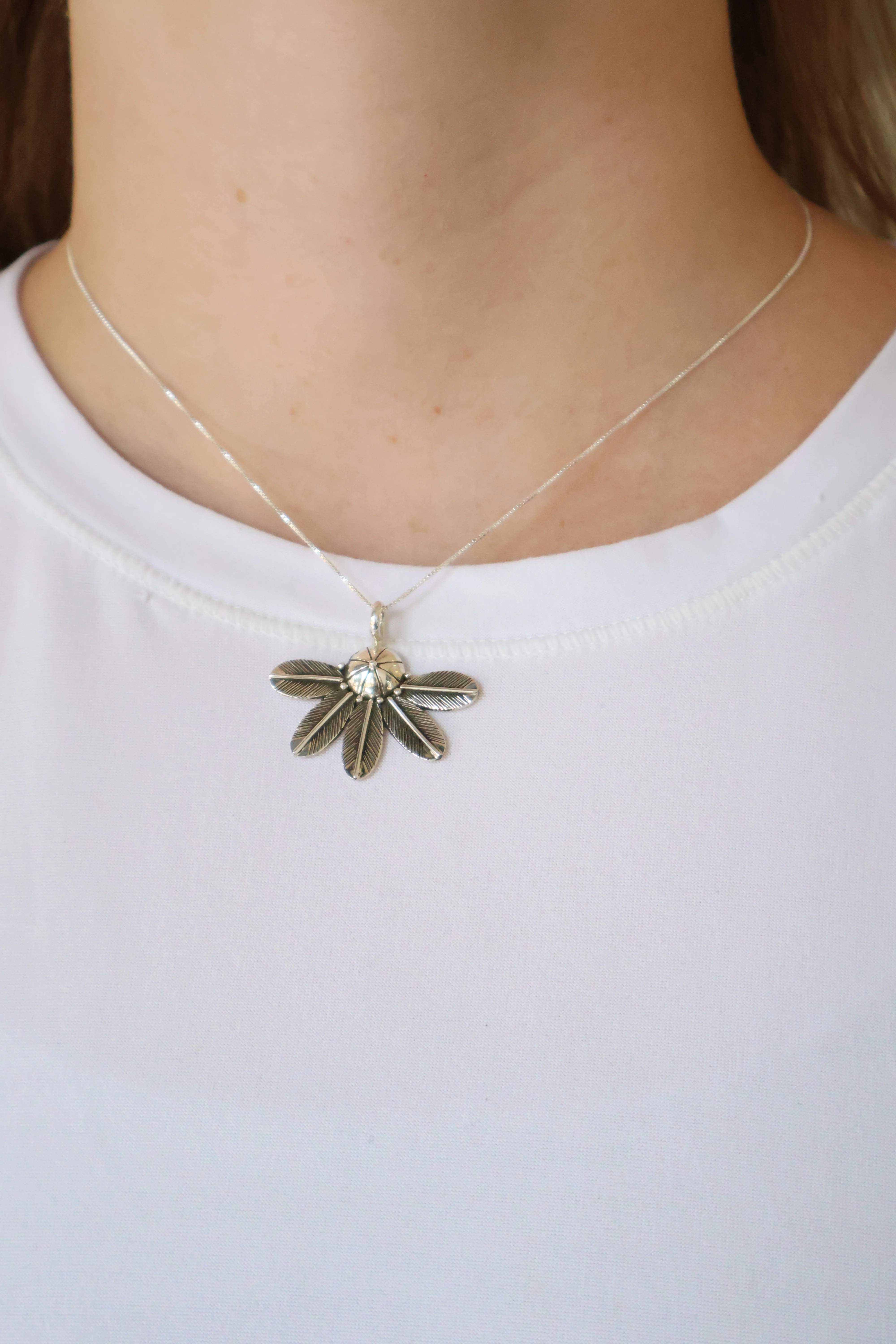 The Bellis - Image 2